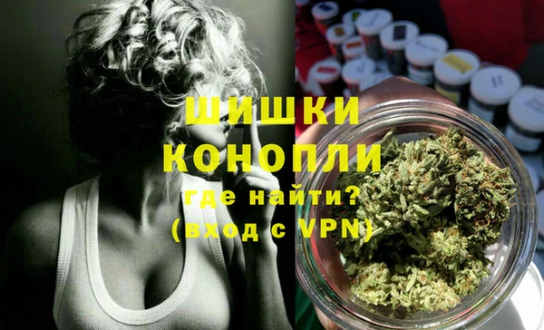 стаф Богородск