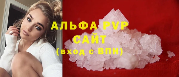 стаф Богородск