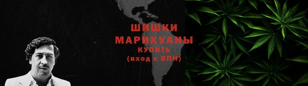стаф Богородск