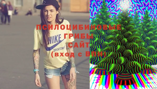 стаф Богородск