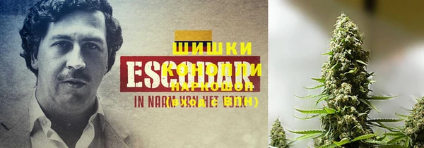 таблы Богданович