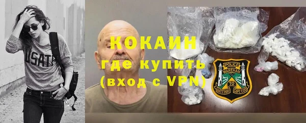 тгк Богородицк