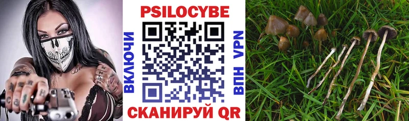 Галлюциногенные грибы GOLDEN TEACHER  цена   Макаров 